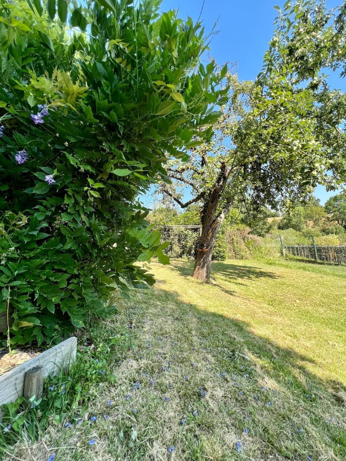 Ussac Villa La Baronnie - 11 Pers - Proche Brive -Jardin מראה חיצוני תמונה