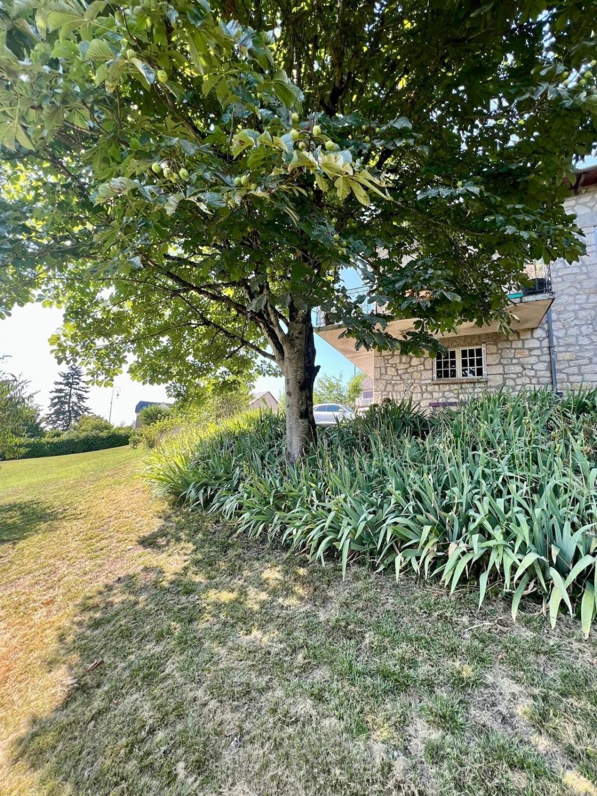 Ussac Villa La Baronnie - 11 Pers - Proche Brive -Jardin מראה חיצוני תמונה